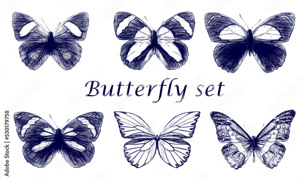 Canvas Prints Set of butterflies drawn with a blue pen isolated on a white