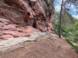 Footpath in the palatinate forest, near Bruchweiler B&auml;renbach, Germany,  Napoleonsteig