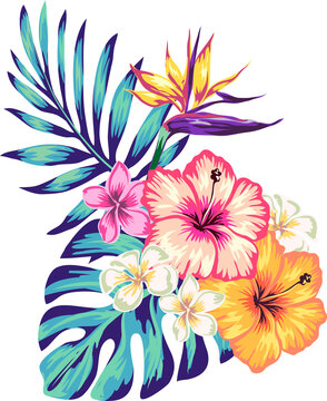 tropical collection with exotic flowers and leaves, tropical flowers and parrot, Isolate individual PNG objects.
