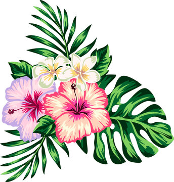 tropical collection with exotic flowers and leaves, tropical flowers and parrot, Isolate individual PNG objects.