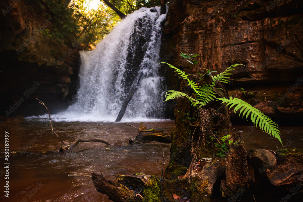 Canvas Prints waterfall in the jungle