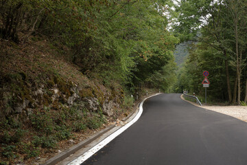 Obraz premium a man in the forest with a phone