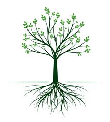 Green vector Tree with Roots.