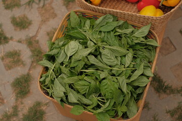 Basil leaves in market for sell