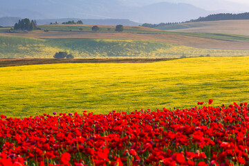 Summer rural landscape of Turiec region, Slovakia.