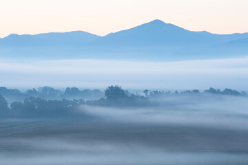 Foggy morning in floodplain of river Turiec, Slovakia.