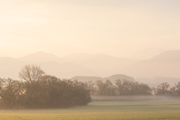Foggy morning in floodplain of river Turiec, Slovakia.