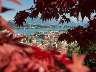 Town and lake behind maple leaves