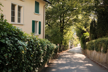 Sunlit asphalt path near house