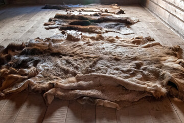 Furs are laid out on a table inside a building at Fort William, a former fur trading post near...
