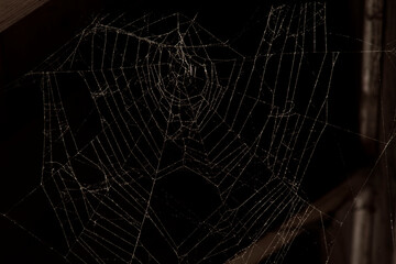 Triangle horror cobweb or spider web isolated on black background,horizontal photo