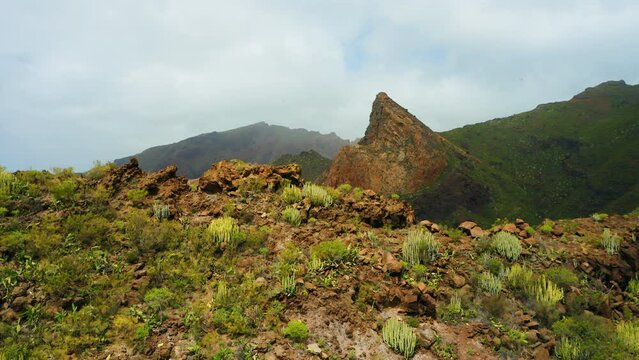 Mountain landscape. Steep cliff, green cactus grow on crag ranges on sunny day. Summer adventure journey in nature outdoors. Travel exploring Tenerife Canary Island. Static aerial scenery.