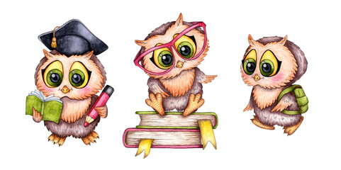 Set of watercolor owlets. Owl in glasses, owlet goes to school, smart owl. Back to school. Ideal for t-shirts, cards, prints. Isolated on white background. Drawn by hand.