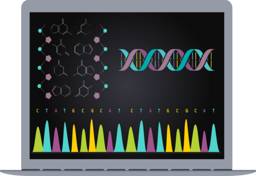 isolated laptop computer showing genetic data on the screen