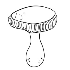 Mushroom edible illustration, doodle style, for digital design