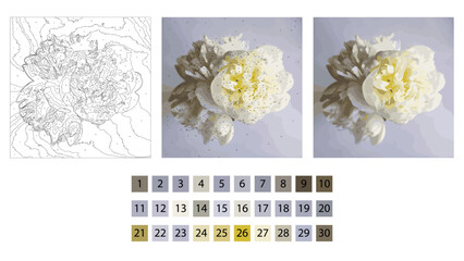 Picture layout by numbers, picture with roses by numbers, illustration with flowers by numbers, vector lustration by numbers, coloring by numbers