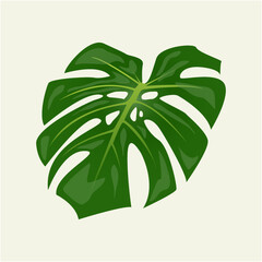 Fototapeta na wymiar vector green leaf