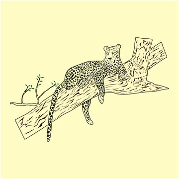 Leophard on a tree