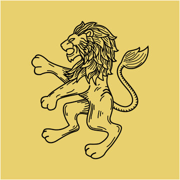 Lion illustration