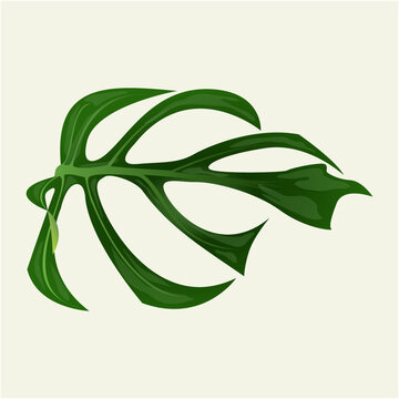 green leaf illustration
