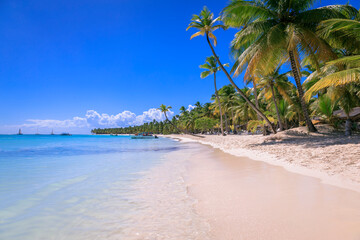Tropical idyllic caribbean beach with sailboats, Punta Cana, Dominican Republic - obrazy, fototapety, plakaty