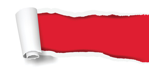 Obraz premium Ripped pieces of horizontal paper background