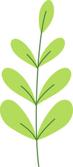 wheat tropical leaf illustration. green house plant design element