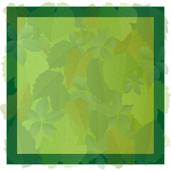 Green leaves frame background in realistic style. Autumn leaf.