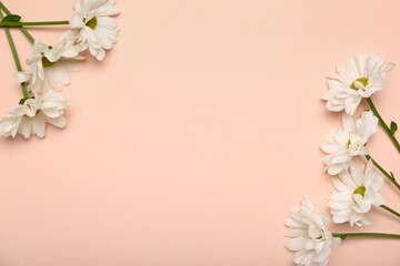 Obraz na płótnie Canvas Frame made of beautiful daisy flowers on pink background