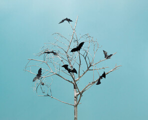 Autumn composition made of bats silhouettes on silver tree. Sky blue background. Creative Halloween surreal concept.