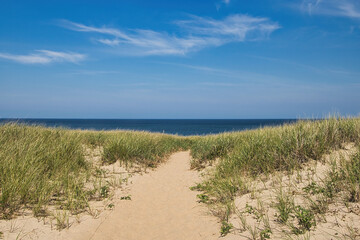 A sandy pathway passes through tall grasses an toward the ocean beneath a blue sky with white clouds on a summer day on Cape Cod, MA.