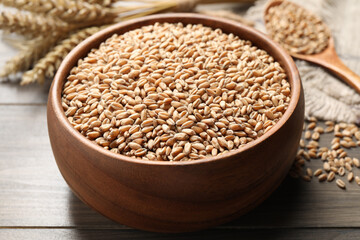 Wheat grains in bowl on wooden table, closeup