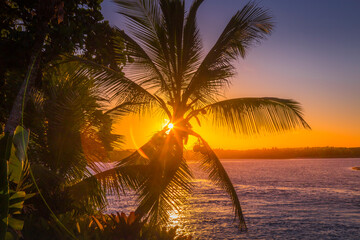 Idyllic Porto Seguro Beach at sunset with palm trees in Trancoso, BAHIA