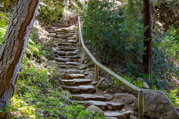 Stairway of stone in nature up side of mountain surrounded by redwood trees