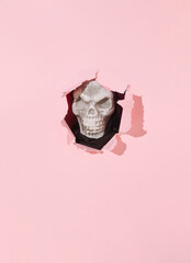 Halloween creative layout made of creepy skull and pastel pink torn paper. Surreal spooky idea, copy space.