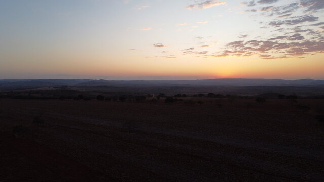 CAMPO DE GIRASSOES EM UM MOMENTO DE ENTARDECER, E POR DO SOL, EM UMA RODOVIA.