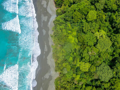 Aerial of corcovado beach in Costa Rica Osa Peninsula showing how the wild pacific meets the protected rainforest