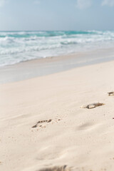 footprints in the sand at the ocean