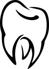 Premolar tooth with three roots and cusps isolated