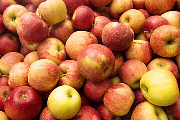 apples in a pile