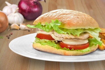 Tasty fresh fast food sandwich