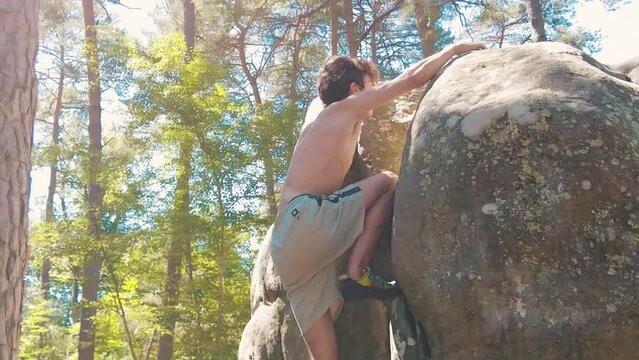 shirtless teenage boy topping a boulder in pine forrest fontainebleau sun flares