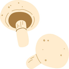 White champignon mushroom, isolated flat fungi