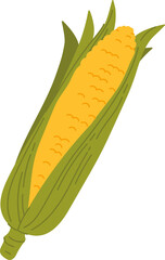 Yellow isolated maize with leaves corncob corn cob