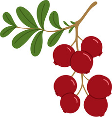Red briar berries rosehip with green leaves, food