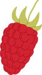 Ripe raspberry organic red ripe berry healthy food