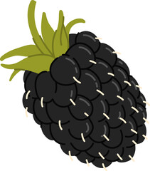 Dewberry bramble organic black berry, blackberry