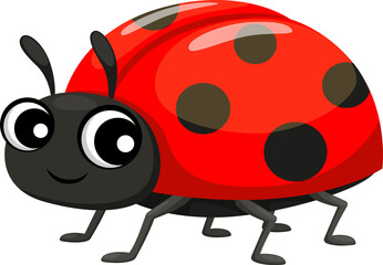 Fototapeta na wymiar Ladybug cartoon insect vector funny kids character