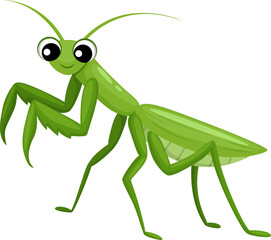 Locust grasshopper cartoon insect, kids character