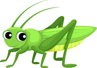 Fototapeta na wymiar Grasshopper cartoon insect, locust kids character